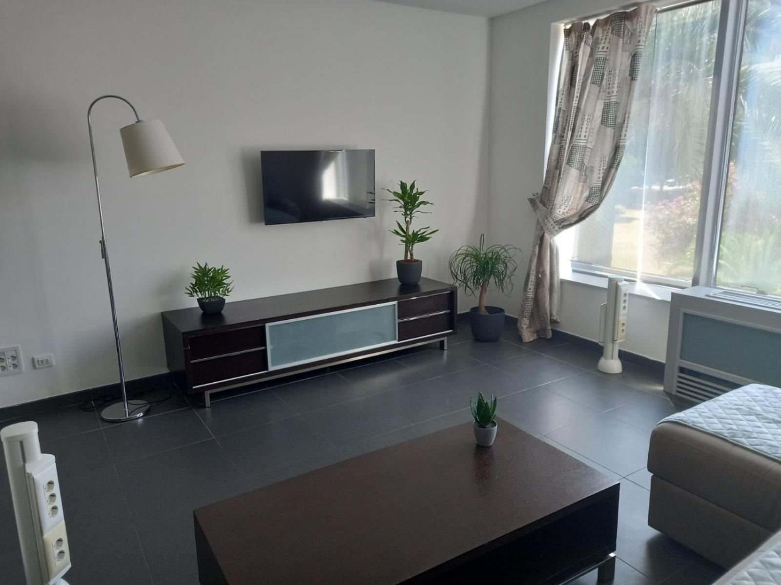Torch Apartment Budva